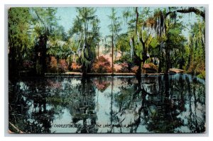 Magnolia Garden Lake Charleston South Carolina SC 1908 DB Postcard T5