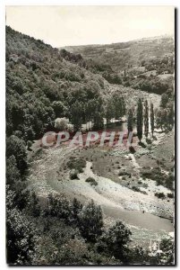 Old Postcard The picturesque Vallee Sioul Willows and poplars glittering curv...