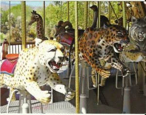 Wild Cats on Marilyn's Merry-Go-RoundThe Living Desert Palm Desert California