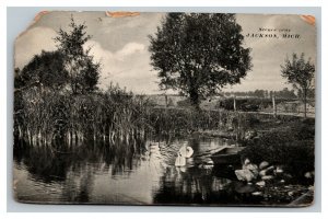 Vintage 1916 Photo Postcard Rowboat and Swans on a Pond Jackson Michigan