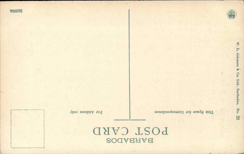 Vintage PC Barbados Silk Cotton Trees Postcard