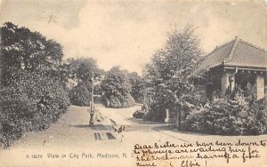 View in City Park in Madison, New Jersey