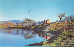 Newbury Vermont~Barn-Silo Along Lake Shore~Reflections @ Sunset~1950s Postcard