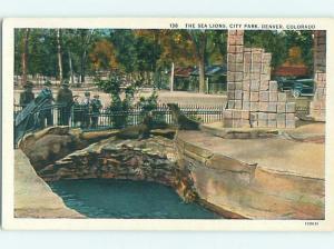 Unused W-Border SEA LIONS & PARK SCENE Denver Colorado CO r7670