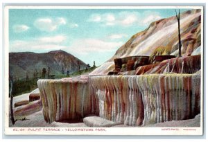 c1920 Scenic View Pulpit Terrace Yellowstone Park Haynes-Photo Germany Postcard