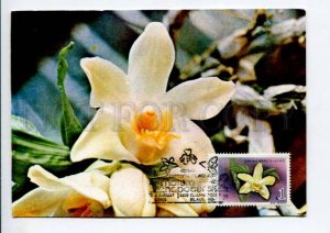 422226 ROMANIA 1990 year flowers orchid maximum card