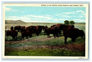 c1930s Buffalo on the Wichita Game Reserve, Near Lawton Oklahoma OK Postcard