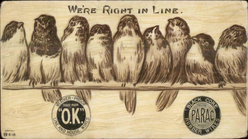 Birds on Telegraph Wire BLACK CORE RUBBER WIRES PARAC c1905 Postcard