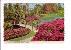 Bridge, Florida Cypress Gardens, 