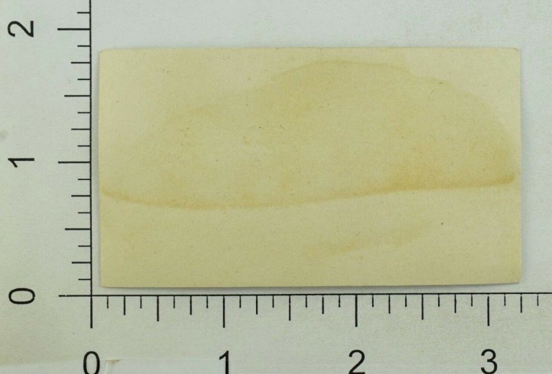 L. E. Henry Standard Flavoring Extracts Victorian Trade Card P114