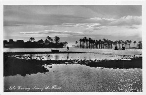 RPPC NILE SCENERY DURING THE FLOOD EGYPT REAL PHOTO POSTCARD