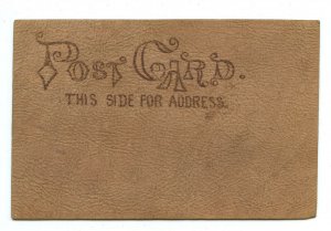 Postcard Excuse Haste And A Poor Pen Vintage Leather Card 