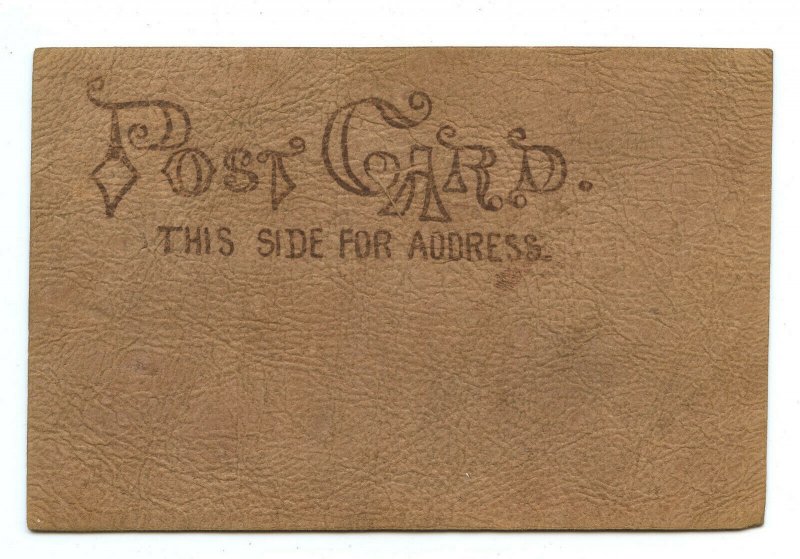 Postcard Excuse Haste And A Poor Pen Vintage Leather Card 