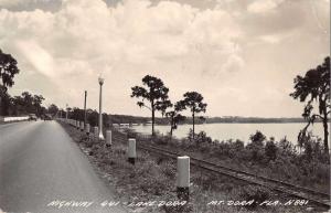 Mount Dora Florida Lake Dora Highway 441 Real Photo Postcard J47150 