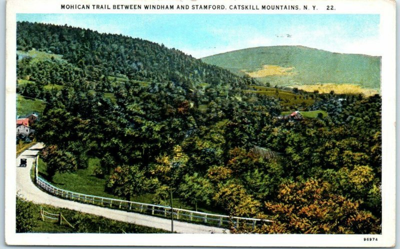 Postcard -Mohican Trail Between Windham & Stamford, Catskill Mountain, New York