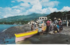 ST. PIERRE, Martinique, French West Indies, 50-60s; Fresh Fish from the Sea