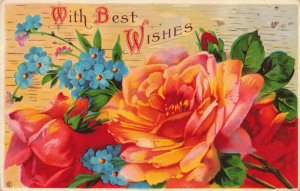 c.1907-15 Best Wishes with Roses Birthday Postcard 2T5-393