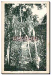 Postcard Cameroon Old Corner Foret Kongsamba