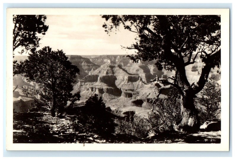 OVERALL VIEW THE GRAND CANYON ARIZONA AZ REAL PHOTO RPPC POSTCARD (GX11)