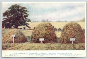 Ithaca New York~Cornell University Experiment Station~Hay & Fertilizer Test~1910