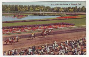 P519 JLs 1945 linen horse racing hialeah park florida