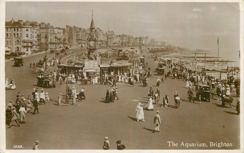 Brighton Aquarium photo postcard