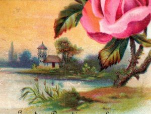 1880s Embossed Easter Greetings Card The Ohio Coffee & Spice Co. White Dove F109