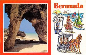 Natural Arches Tucker's Town Bermuda Postcard