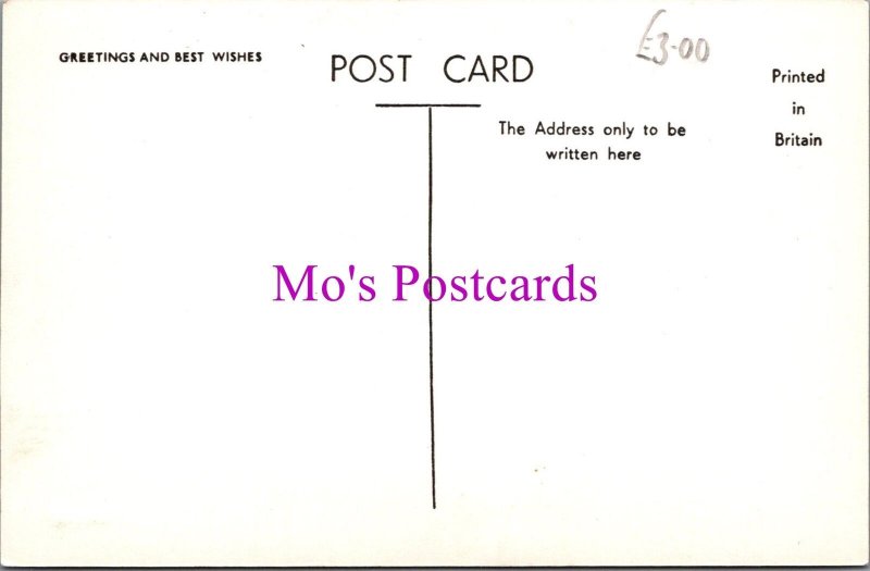 Warwickshire Postcard - Brandon Hall Hotel, Brandon, Nr Coventry  RS38463