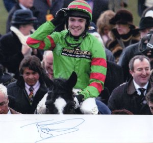 Tom Scudamore William Hill 2008 Horse Race Arcordian Photo