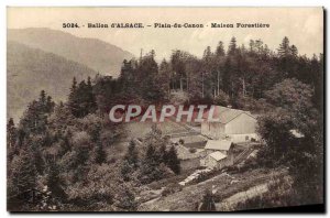 Old Postcard Foret Ballon d & # 39Alsace Plain Canon House forestry