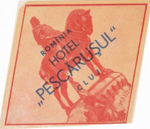 Romania Cluj Hotel Pescarusul Vintage Luggage Label