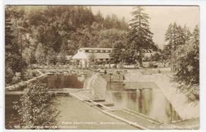 Fish Hatchery Bonneville Columbia River Oregon RPPC Real Photo postcard