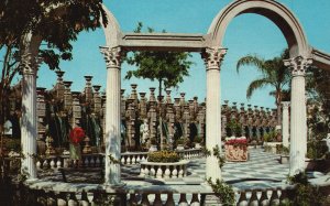 Vintage Postcard Exotic Scenes at the Kapok Tree Inn Clearwater Florida FL