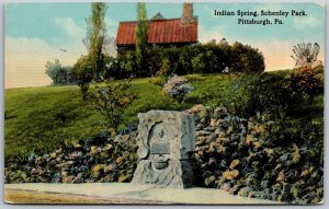 Vtg Pittsburgh Pennsylvania PA Indian Spring Schenley Park 1910s View Postcard