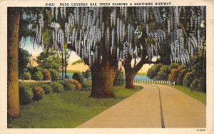 Moss Covered Oak Trees Shading, Southern Highway Misc, Florida  
