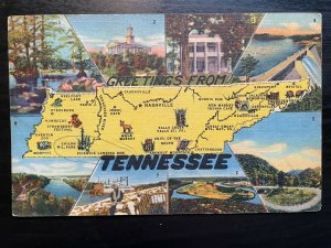 Vintage Postcard 1956 Greetings from Tennessee