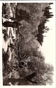 Vintage Real Photo Postcard Garden of Gethsemane Jerusalem RPPC