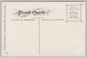 State View~Rock of Ages @ Niagara Falls~Vintage Postcard