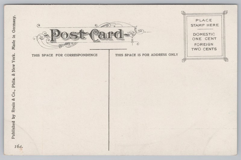 State View~Rock of Ages @ Niagara Falls~Vintage Postcard