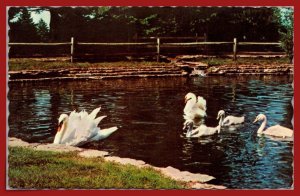 Iowa, Clinton- Swan Lake - Memorial Park Cemetery - [IA-110]