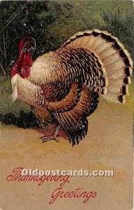 Artist PFB Thanksgiving Greetings 1906 