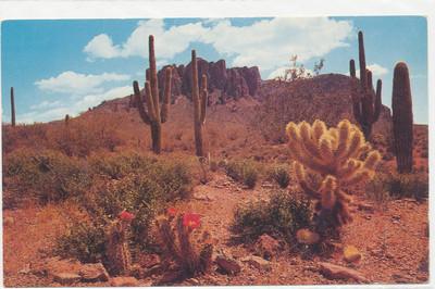 PC5170 The Colorful Desert Arizona Unused