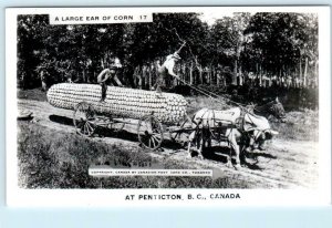 RPPC  PENTICTON, B.C. Canada ~ EXAGGERATION Large Ear of Corn  Postcard