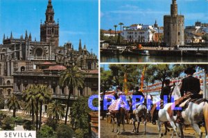 Postcard Modern Sevilla Horses