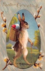 Easter Greetings Humanized Rabbit Eggs Pussy Willow 1911 embossed postcard B922