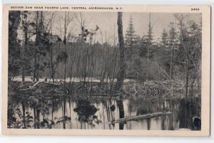 Beaver Dam, 4th Lake, Adirondacks NY