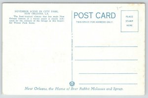 New Orleans LA~City Park in November~Seal~Brer Rabbit Molasses Adv PC~1920s