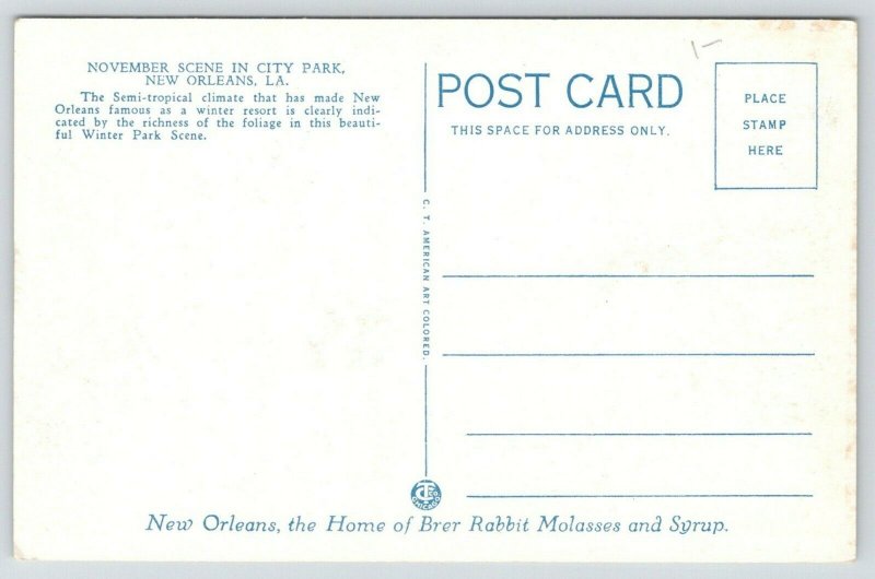 New Orleans LA~City Park in November~Seal~Brer Rabbit Molasses Adv PC~1920s