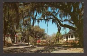 SC View of WALTERBORO SOUTH CAROLINA Postcard PC